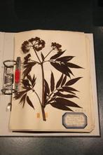 Herbarium, Ophalen