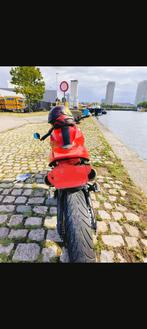 Ducati Monster 696 ABS 2013, Motoren, Motoren | Ducati, Particulier