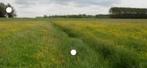Grasland gezocht, Dieren en Toebehoren