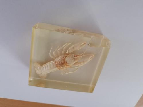 enkele objecten in hars gegoten, Antiek en Kunst, Curiosa en Brocante, Ophalen