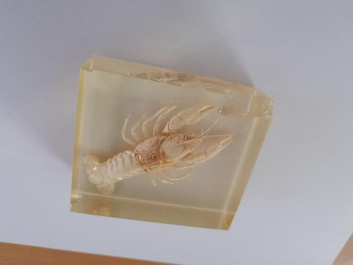 enkele objecten in hars gegoten, Antiek en Kunst, Curiosa en Brocante, Ophalen