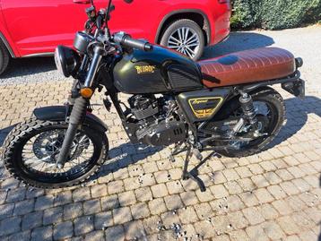 Moto bluroc "Bullit" legend 125cc, Enlèvement, Comme neuf