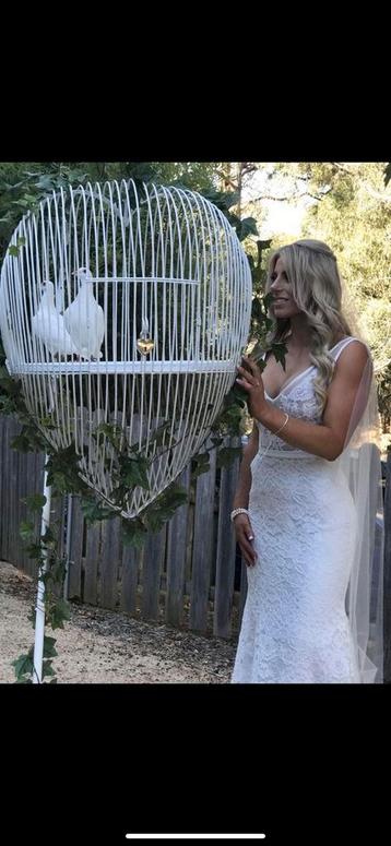Lacher de Colombes pour mariage beschikbaar voor biedingen