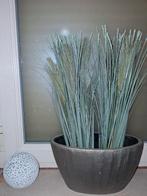 Decoratie kunstplant met pot, Huis en Inrichting, Ophalen