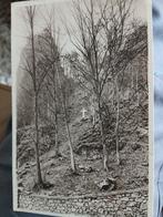 Marche les Dames, Verzamelen, Postkaarten | België, Ophalen of Verzenden