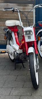 Honda Camino Classe B, Autres modèles, Classe B (45 km/h), Enlèvement, Utilisé