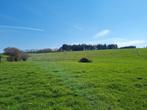 Mierchamps (La Roche): mooi gelegen bouwgrond, 19a 43ca., La Roche en Ardenne, 1500 m² of meer