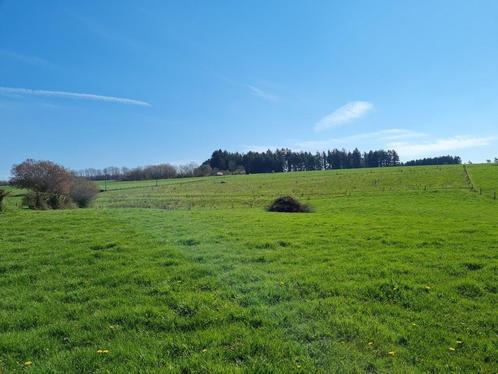 Mierchamps (La Roche): mooi gelegen bouwgrond, 19a 43ca., Immo, Gronden en Bouwgronden, 1500 m² of meer