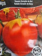 Plants de tomates cœur de bœuf et poivrons rouges., Enlèvement ou Envoi