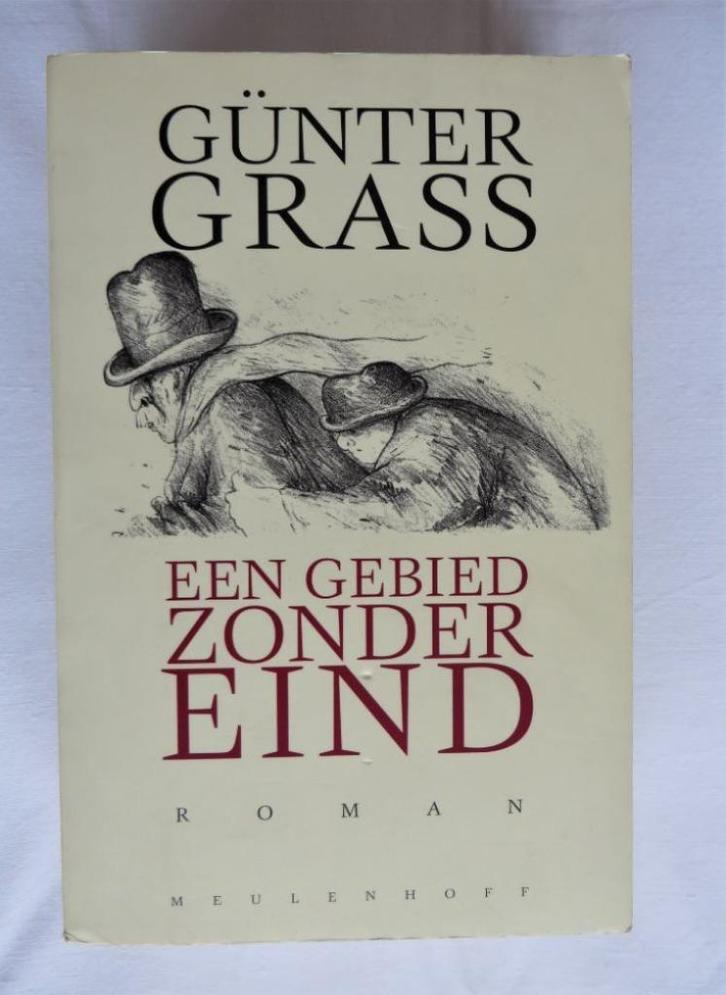 Günter Grass - Een gebied zonder eind, Boeken, Literatuur, Gelezen, België, Ophalen of Verzenden