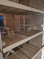 Draadkooien, Dieren en Toebehoren, Vogels | Hokken en Kooien, Ophalen