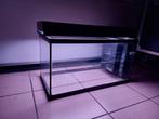 Aquarium 50L met verlichting, Dieren en Toebehoren, Ophalen, Zo goed als nieuw, Leeg aquarium