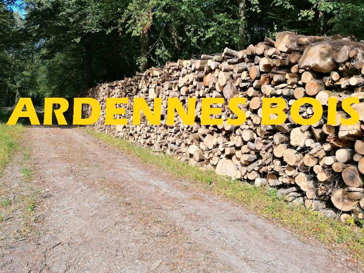 Brandhout met een lengte van 2 meter - Andere lengtes, Tuin en Terras, Brandhout, Beukenhout, Verzenden