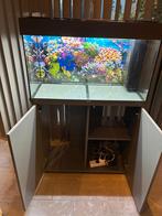 Aquarium  met kast, Dieren en Toebehoren, Ophalen