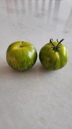 Verschillende soorte BİO tomaten zaden(10 stuks voor 1 euro), Ophalen of Verzenden