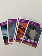 Makro kaartjes dieren schatten van de oceanen, Verzamelen, Ophalen of Verzenden, Nieuw