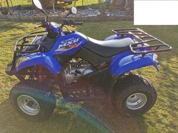 Kymco MXU Quad, Motoren, 250 cc, 12 t/m 35 kW