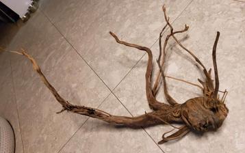 Groot stuk decoratie hout voor aquarium  beschikbaar voor biedingen