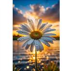 Peinture au diamant marguerite au coucher du soleil 40x30cm, Envoi, Neuf, Bricolage