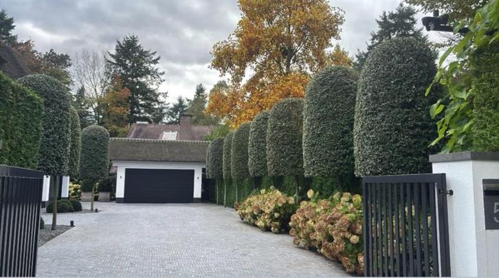 Waaltjes Vietnamees Hardsteen 20x5x5cm verouderd, Jardin & Terrasse, Pavé & Dalles, Neuf, Briques, Pierre naturelle, 10 m²² ou plus