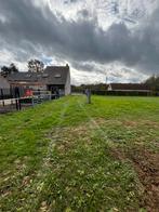 Ezel- en paardenmest, Ophalen, Mest