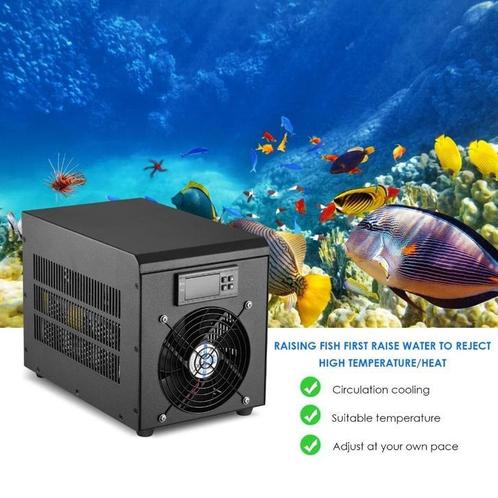 aquarium en toebehoren - aquarium - vissen, Dieren en Toebehoren, Vissen | Aquaria en Toebehoren