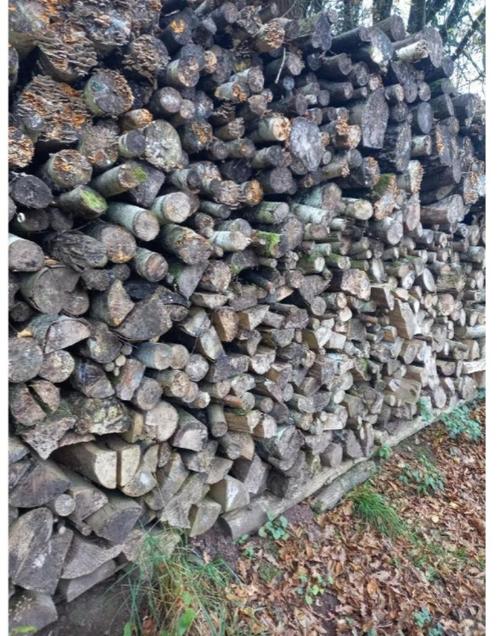 Bois de chauffage sec, Tuin en Terras, Brandhout, Blokken, Eikenhout, 3 tot 6 m³, Ophalen