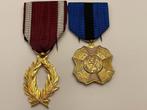 Gouden Palmen Kroonorde & Orde Leopold II (medailles), Verzamelen, Overige soorten, Ophalen of Verzenden, Lintje, Medaille of Wings