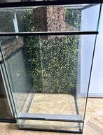 Glazen terrarium 100Hx50Bx51D, Dieren en Toebehoren, Ophalen, Gebruikt, Terrarium of Paludarium