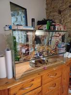 Terrarium, Ophalen
