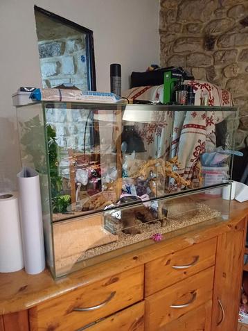 Terrarium  beschikbaar voor biedingen