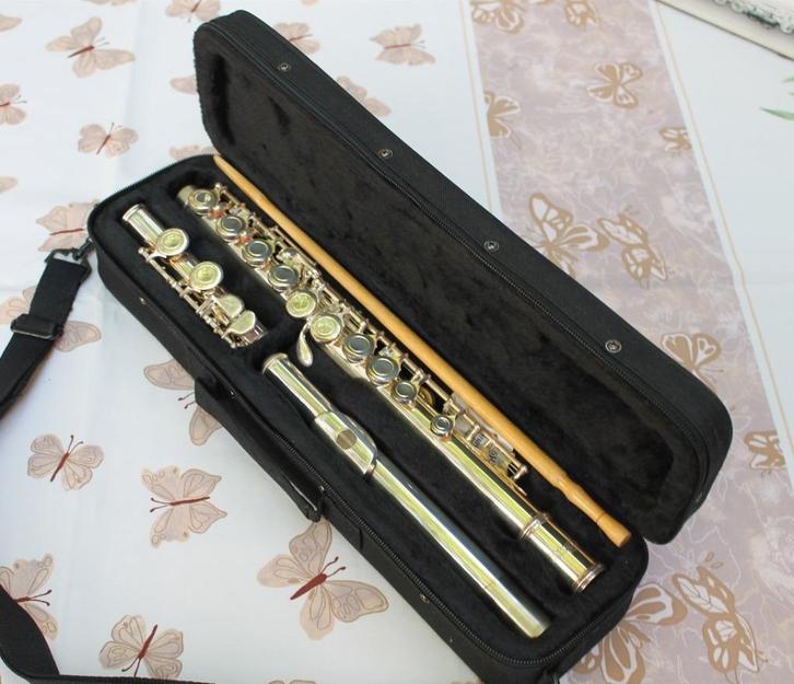 dwarsfluit C.GIANT, Muziek en Instrumenten, Blaasinstrumenten | Dwarsfluiten en Piccolo's, Dwarsfluit, Met koffer of tas, Ophalen of Verzenden