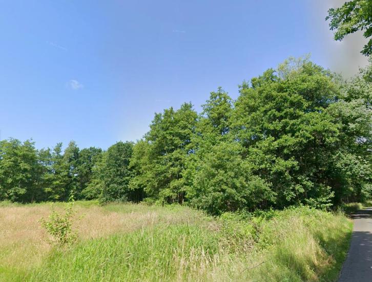 Eigen stookhout onbeperkt kappen? Mooie bosgrond in Balen!, Immo, Gronden en Bouwgronden, 1500 m² of meer, Verkoop zonder makelaar