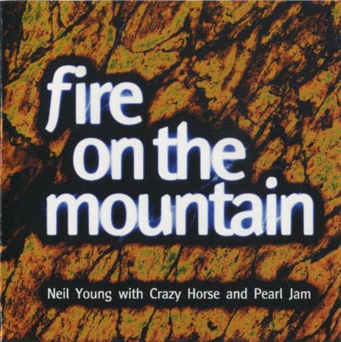 CD Neil YOUNG - Fire On The Mountain - Live 1994, CD & DVD, CD | Rock, Utilisé, Envoi