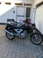 Honda CBF250, Motoren, 250 cc, 1 cilinder, 12 t/m 35 kW, Sport