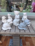 Lot witte katten, Ophalen, Gebruikt