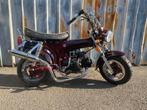 Lowrider Bordeaux Met Dubbele Onderliggende Uitlaat, Fietsen en Brommers, Brommers | Honda, Nieuw, 50 cc, 4 versnellingen, Ophalen of Verzenden