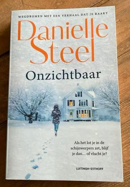 Danielle Steel - Onzichtbaar, Boeken, Romans, Zo goed als nieuw, Ophalen of Verzenden