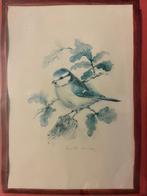 Pimpelmees, John Evans, Ophalen of Verzenden