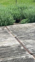 Steenschotten, Doe-het-zelf en Bouw, Hout en Planken, Ophalen, Gebruikt