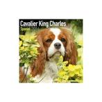 Calendrier Cavalier King Charles Spaniel 2016, Enlèvement ou Envoi, Calendrier annuel, Neuf