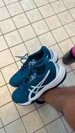 Asics schoenen maat 43,5, Sport en Fitness, Volleybal, Ophalen, Zo goed als nieuw, Schoenen