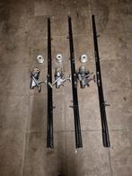 Karper hengels 3delig transport lengte 125 cm, Ophalen, Zo goed als nieuw