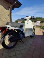 Honda scoopy sh50, Autres modèles, Classe B (45 km/h), Enlèvement, Utilisé