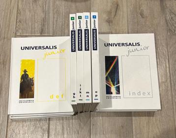 Encyclopédie Universalis Junior 2007 - 10 tomes disponible aux enchères