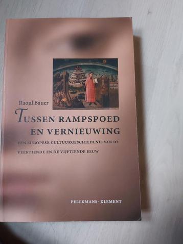 Tussen rampspoed en vernieuwing  disponible aux enchères