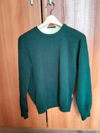 Groene trui met wolvenpups, Kinderen en Baby's, Kinderkleding | Maat 170, Ophalen, Zo goed als nieuw