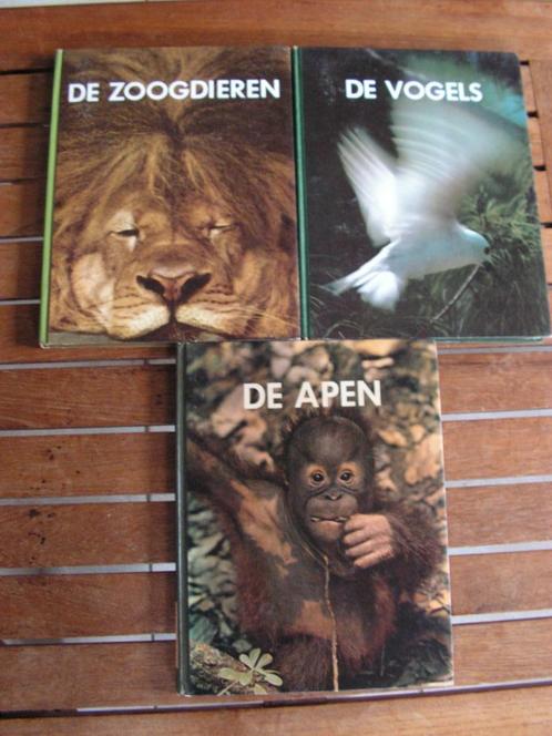 Lot van 3 leerrijke boeken over dieren Parool/Life reeks (5€, Boeken, Dieren en Huisdieren, Gelezen, Overige diersoorten, Ophalen of Verzenden