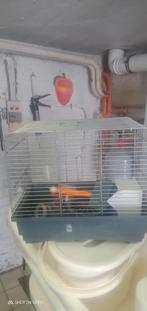 Cage pour Hamster avec les accessoires, Animaux & Accessoires, Rongeurs & Lapins | Cages & Clapiers, Comme neuf, Cage, Enlèvement ou Envoi