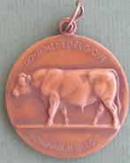 ministerie van landbouw 1975 stier  koninkrijk België, Ophalen of Verzenden, Brons